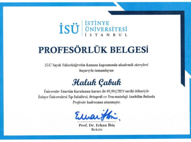 Professorship certificate awarded by Istinye University to Prof. Dr. Haluk Cabuk