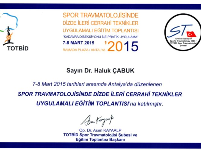 TOTBID Advanced Surgical Techniques in Knee Sports Traumatology certificate earned by Prof. Dr. Haluk Cabuk