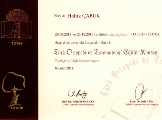 TOTEK membership certificate for Prof. Dr. Haluk Cabuk